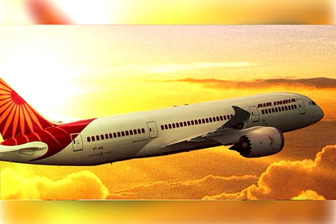 India's iconic airline is up for sale - but will anyone buy?
