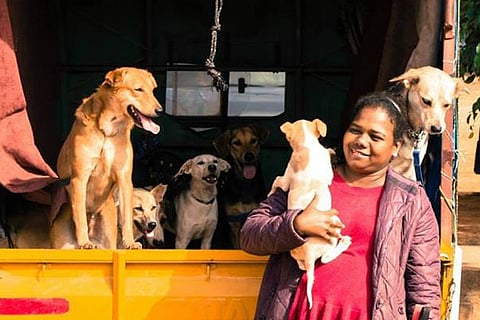 Rescue and rehabilitate: This Bengaluru woman is trying to find 43 abandoned dogs a home