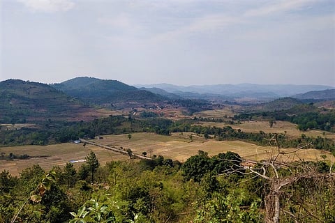 Night-time tourism proposed in Araku forests, but will it end up endangering wildlife?