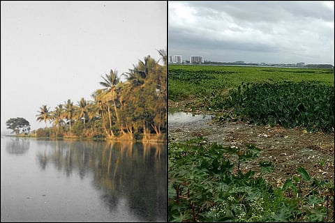 In pictures: Photos of Bellandur lake from 1989 show what Bengaluru has now lost