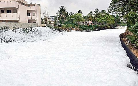 NGT tears into K’taka govt, forms own panel to inspect Bellandur, other lakes