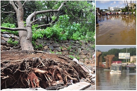 Buffer zones in Bengaluru lakes increase capacity, help mitigate floods: IISc report