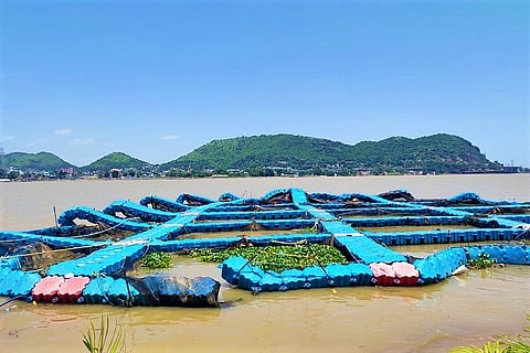 After Krishna floods, Vijayawada’s Bhavani Island to reopen to tourists from Sep 1