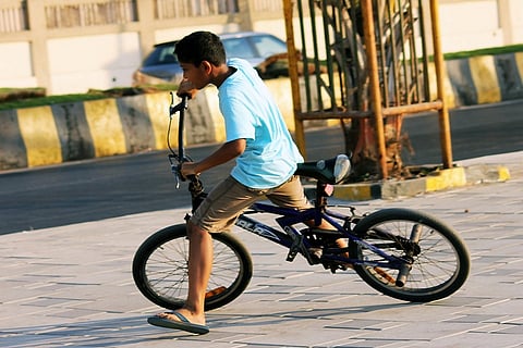 The mysterious biomechanics of riding and balancing a bicycle
