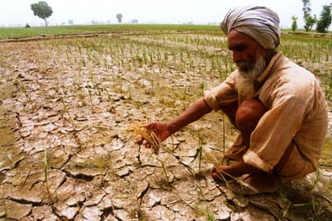 NHRC issues notice to TN govt over deaths of farmers due to agrarian crisis