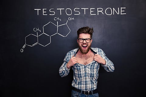 The 5 Best Testosterone Boosters of 2022