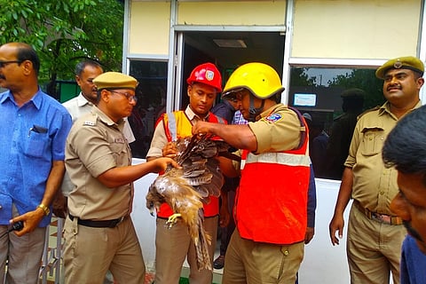Eagle trapped in kite manja rescued near Telangana Assembly