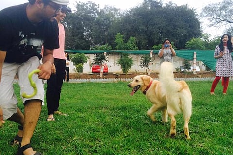 Pet therapy: This Hyderabad dog kennel offers a unique way to de-stress