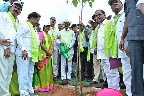 Haritha Haram: Telangana CM KCR launches phase 4 of massive plantation drive