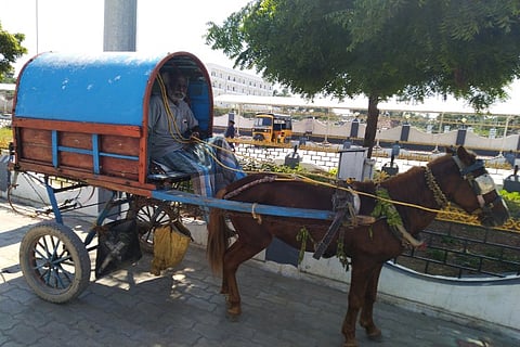 The lone horse cart driver of the island town of Rameswaram