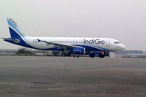 Indigo