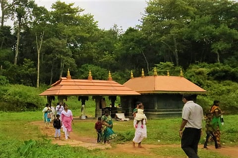 In Kerala, a community is sowing seeds of conservation to save rare trees