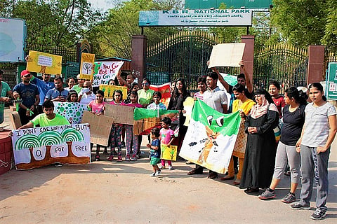 Hyd civic body wants to cut 600 trees for flyover, down from 1,900: Activists scoff