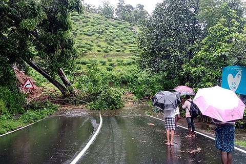 Heavy rains lash several parts of Kerala, Orange alert declared in 4 districts