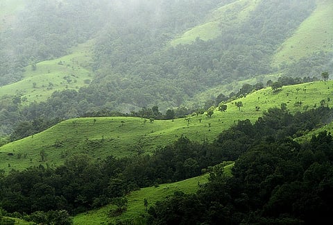Karnataka to oppose Centre's notification declaring Western Ghats as eco-sensitive
