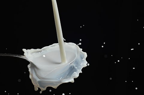 Is milk good for me, or should I ditch it?
