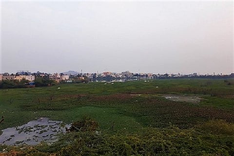 From bird paradise to frothing mess: Tracing the history of Secunderabad's RK Puram lake