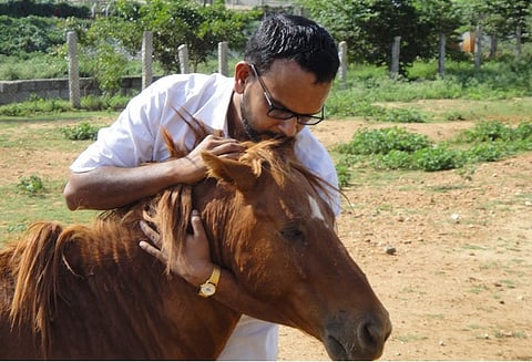 Meet the Bengaluru man who's dedicated years to saving the city's abandoned horses and ponies