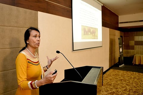 Why Kerala must protect its elephants: 3-day summit in state involves stakeholders