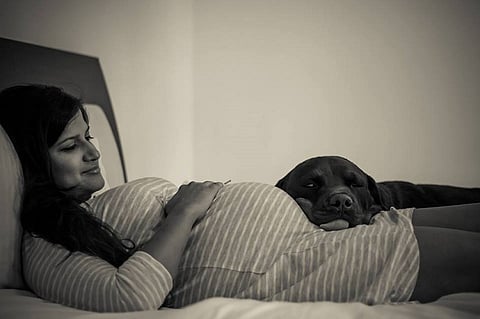 I had a difficult, complicated pregnancy, but my dogs helped me pull through