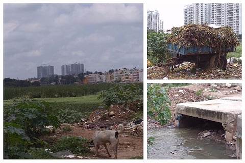 Encroachment and BBMP apathy has turned the once beautiful Sarakki Lake into a cesspool