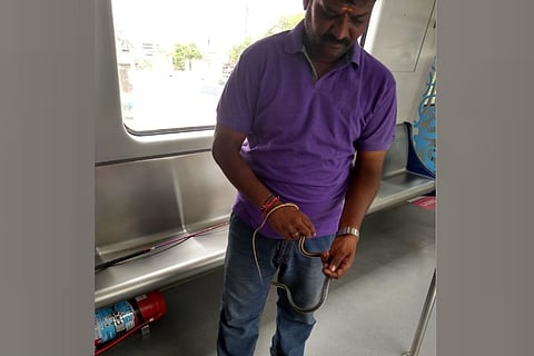 Snake caught on board Hyderabad Metro train after 5-day search