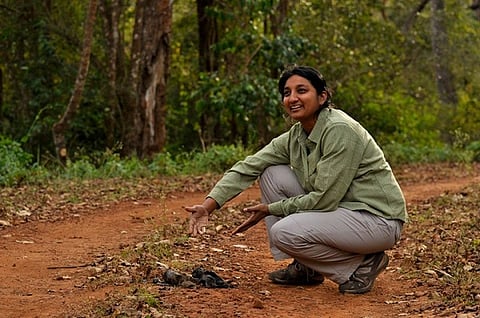 Bengaluru based ecologist bags Parker-Gentry award for work on tiger conservation