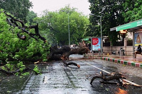 Heavy rain in Bengaluru causes havoc: uproots 117 trees, brings traffic to standstill