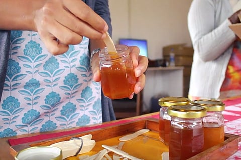Watch: The Kodaikanal group that’s helping Adivasi communities sell honey at a fair price
