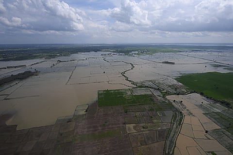 Aerial survey