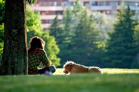 Bengaluru apartment evicts a tenant simply for walking pet dogs in common areas