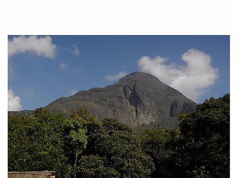 Kerala activists question ‘unwritten law’ banning women from scaling Agasthyarkoodam peak
