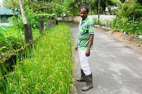 Anilkumar katti