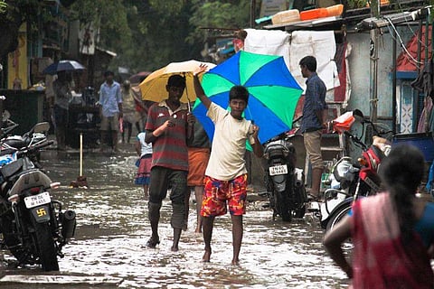 TN Rains: Eight things the government needs to look into immediately