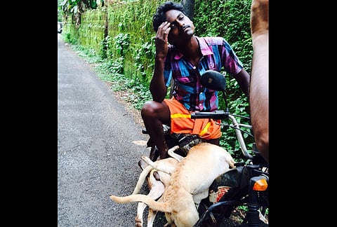 Dog lovers vs stray dog haters: New round of fight begins in Kerala