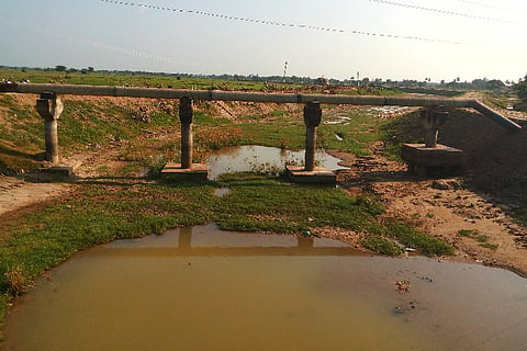 Not a drop to drink: With water-bodies drying up TN Delta villagers never had it this bad
