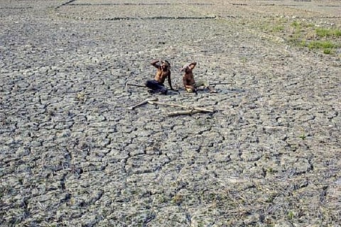 With no monsoon rains in sight, drought-like situation grips Andhra