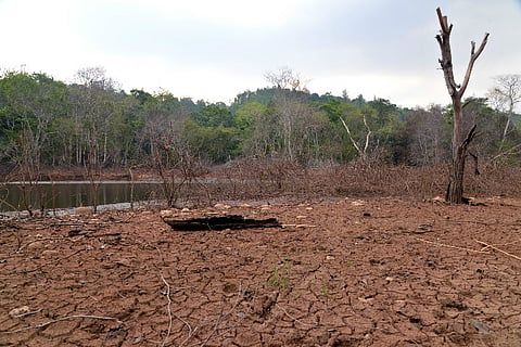 Southwest monsoon plays truant in Kerala
