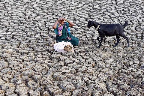 Rs 900 crore farm loans in Karnataka to be waived after May 23