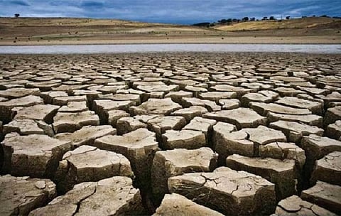 Representative image of a drought