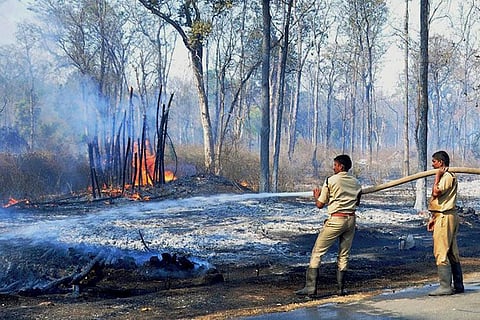 K’taka Forest Dept asks govt to give pay hike for staff in line with police officials