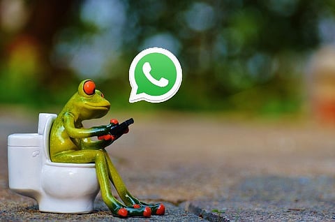 WhatsApp group admin? You are an 'intermediary' and here’s what you need to know
