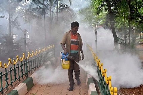 Declare dengue a public health emergency, says expert: TN govt says this will cause panic