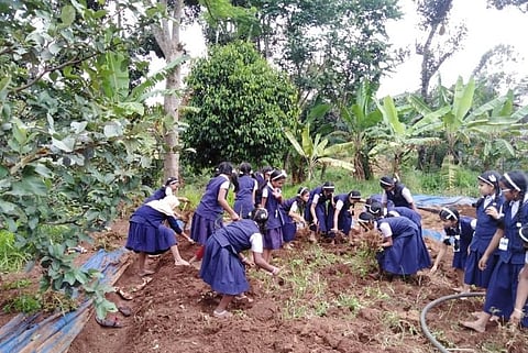 Kerala government honours school that cultivates 78 varieties of crops in its campus