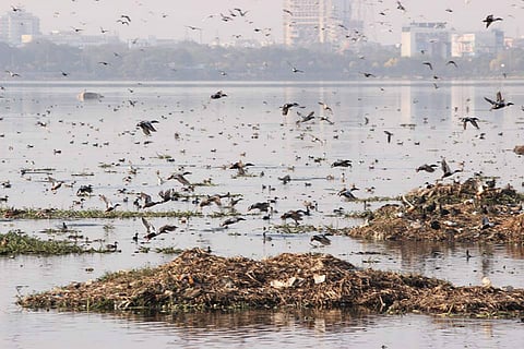 The assassination of Hussain Sagar is underway, and Hyderabad needs to stop it