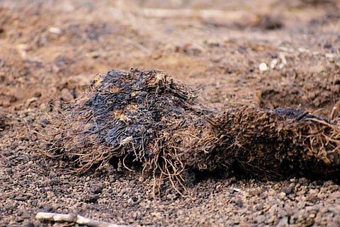 Groundwater and soil contaminated, say activists: Tests confirm what ONGC has been denying