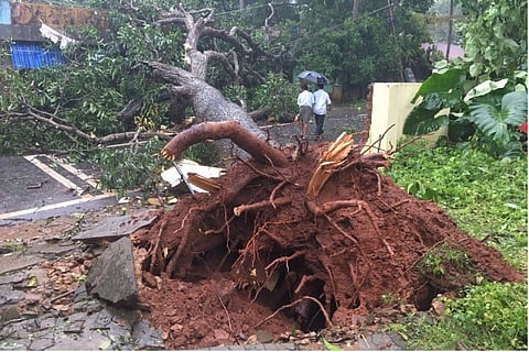 Cyclone Ockhi batters Kerala: 3 dead in TVM, 270 fishermen and 62 boats missing