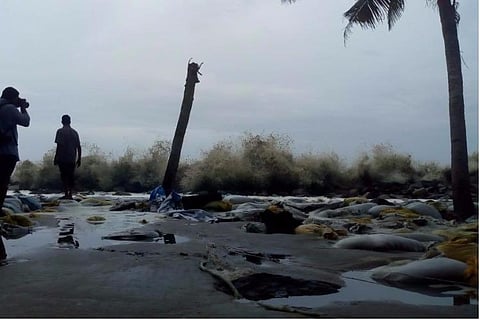 47 dead due to cyclone Ockhi in Kerala, 188 missing: Police
