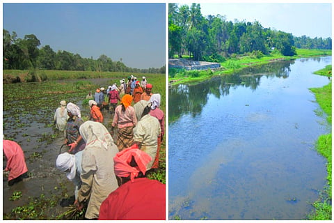 A river reborn: How 700 workers cleaned a once-still river in Kerala’s Alappuzha
