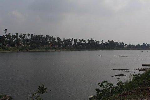 Success story: How an NGO and local residents joined hands to rejuvenate Madipakkam lake